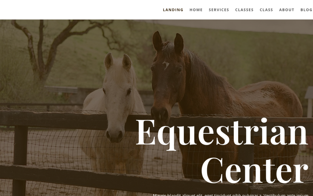 Horse Riding