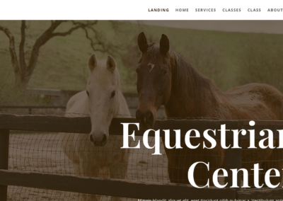 Horse Riding