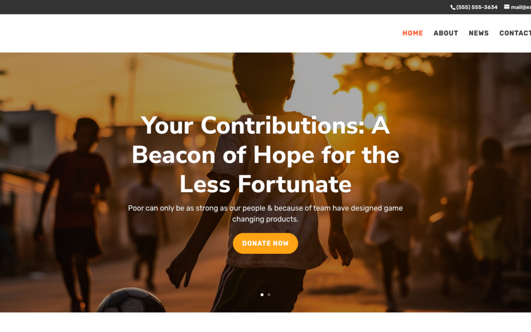 Non-profit Charity
