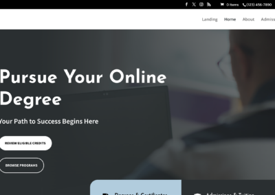 Online University